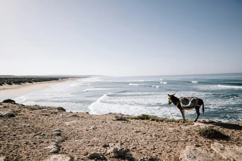 Sidi Kaouki depuis Essaouira : plage, surf et balade